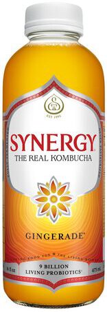 GTs Gingerade Organic Kombucha 16oz