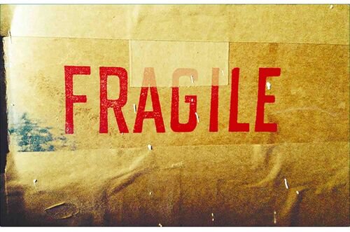 Department 66 Maury Fragile Rose