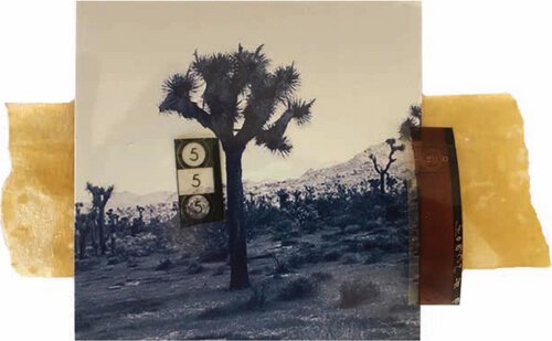 Orin Swift 8 Years In The Desert