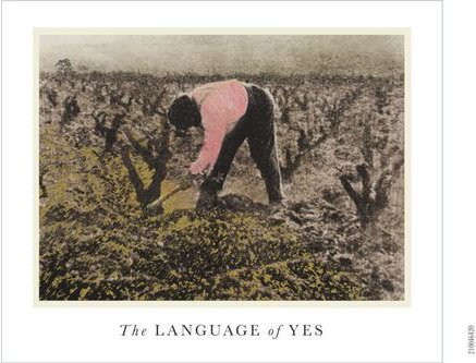 The Language of Yes Le Cerisier Central Coast Pink Wine