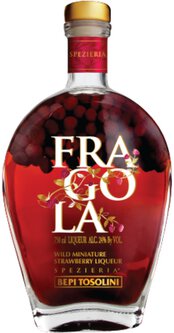 Bepi Tosolini Fragola Wild Strawberry Liqueur