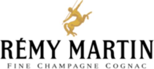 Remy Martin Louis XIII Cognac (Coffret)