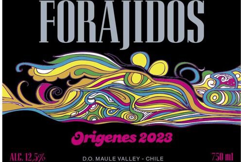 Forajidos Origenes Valle del Maule