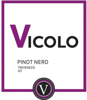 Vicolo Pinot Nero Trevenezie IGT