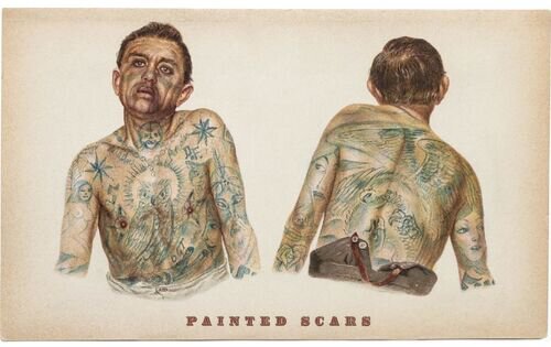 Department 66 Cotes Catalanes Painted Scars Red Wine