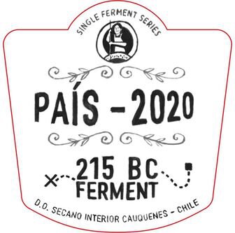 Garage Wine Co. Single Ferment Series Pais 215 BC Ferment Cauquenes