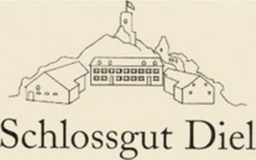 Schlossgut Diel Riesling Nahesteiner Trocken