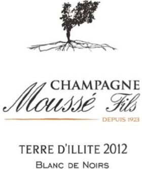 Mousse Fils Champagne Brut Blanc de Noirs Millesime Terre d'Illite