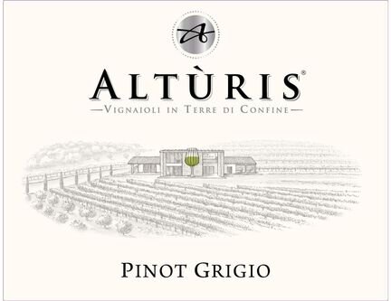 Alturis Friuli Pinot Grigio