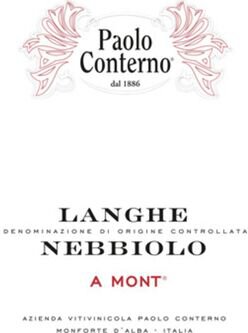 Paolo Conterno Langhe Nebbiolo A Mont