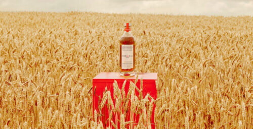 STAR HILL FARM 2025 AMERICAN WHEAT WHISKEY