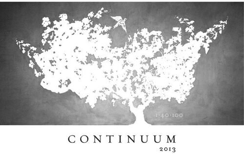 Continuum Proprietary Red Blend Napa Valley