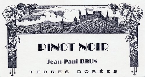 Domaine des Terres Dorees Bourgogne Pinot Noir