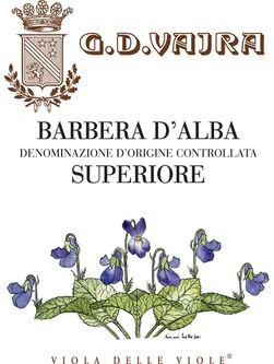 G.D. Vajra Viola delle Viole Barbera d'Alba Superiore