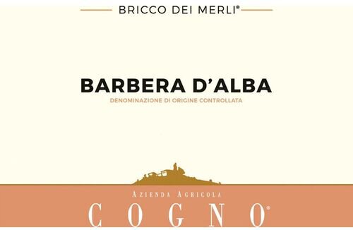 Elvio Cogno Bricco dei Merli Barbera dAlba DOC