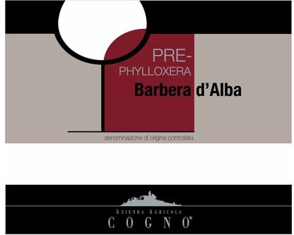 Elvio Cogno Barbera d'Alba Pre Phylloxera