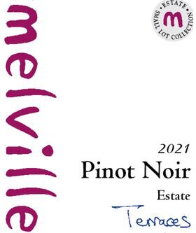 Melville Estate Pinot Noir Terraces