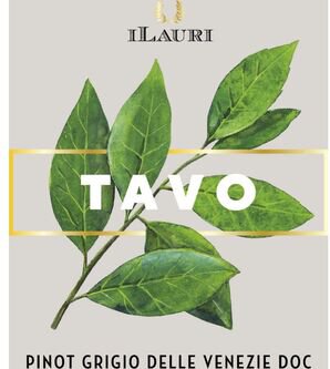 Tavo Pinot Grigio