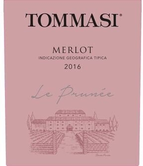 Tommasi Le Prunee Merlot