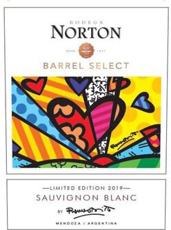 Bodega Norton Sauvignon Blanc Barrel Select Britto Limited Edition Mendoza