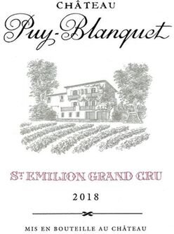 Chateau Puy Blanquet Saint-Emilion Grand Cru