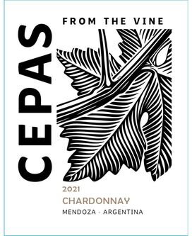Cepas Chardonnay Mendoza