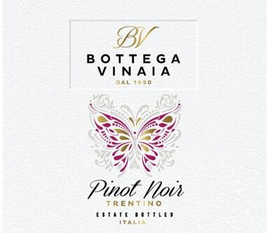 Bottega Vinaia Pinot Noir