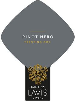 Cantina Lavis Trentino Pinot Nero