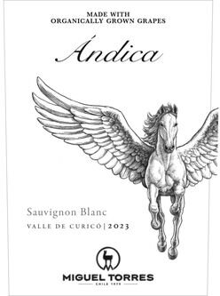 Miguel Torres Andica Sauvignon Blanc Valle del Curico