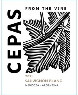 Cepas Sauvignon Blanc Mendoza