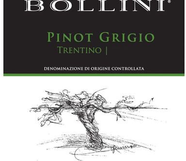 Bollini Trentino Pinot Grigio