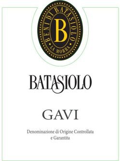 Beni di Batasiolo Gavi DOCG