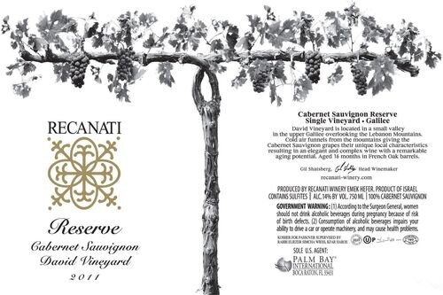 Recanati Single Vineyard Series Cabernet Sauvignon David Vineyard Reserve
