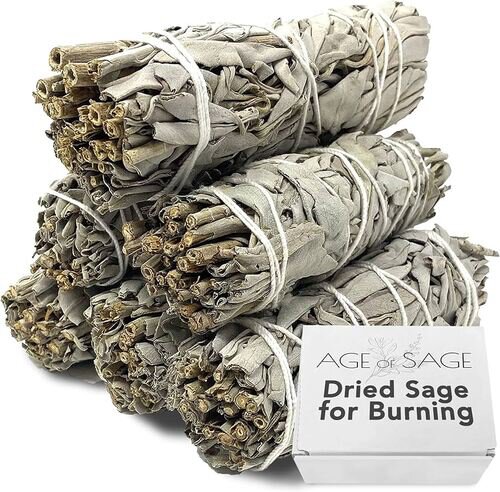 Mystic Sage