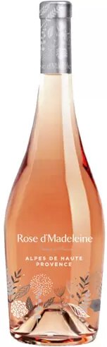 Rose D'madeleine Rose