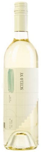 Rgny Scielo Sauvignon Blanc