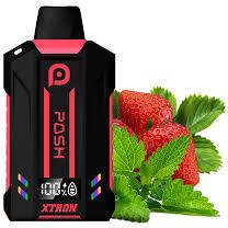 Posh 10k Raspberry Mint