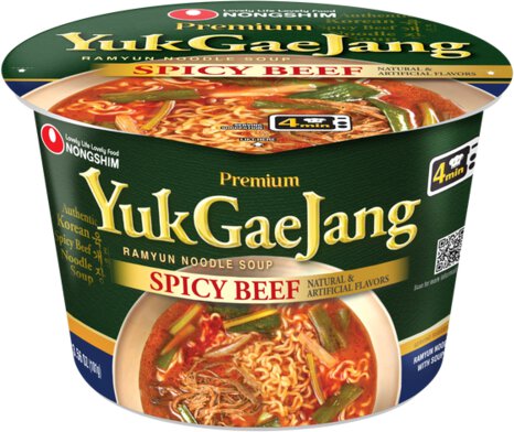 Yuk Gae Jang Spicy Beef Ramyun Noodle Soup Bowl