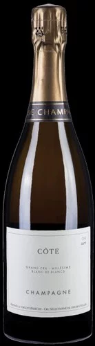 Domaine les Monts Fournois (Alips & Bereche) Cote OG Grand Cru Extra-Brut Blanc de Blancs Champagne 2016 (750ml)