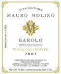 Mauro Molino Barolo Gallinotto 2020 (750ml) ***