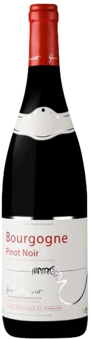 Gerard Mugneret Bourgogne Rouge 2022 (750ml)