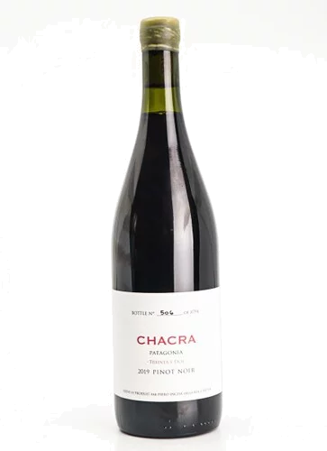 Chacra Pinot Noir Treinta y Dos 2019 (750ml)