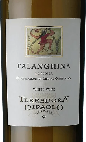 Terredora di Paolo Falanghina Irpinia