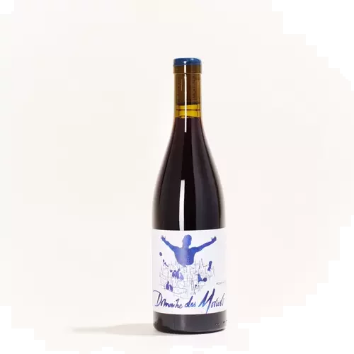 Domaine des Moriers Moulin A Vent