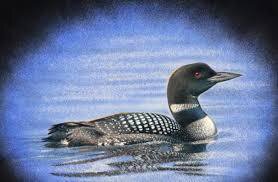 FORESTEDGE NORTHSTAR LOON 750