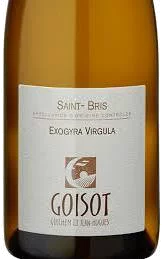 Guilhem et Jean-Hugues Goisot  Exogyra Virgula Saint-Bris
