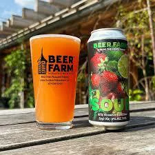 Brookeville Strawberry Kiwi Sour Ale
