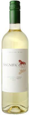 Magnifico Sauvignon Blanc Central Valley