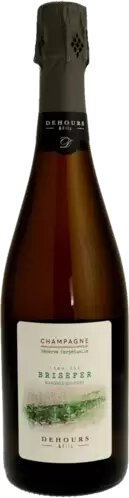 Dehours et Fils Champagne Extra Brut Lieu Dit Brisefer Prepetual Reserve
