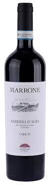 Marrone Barbera d'Alba 
